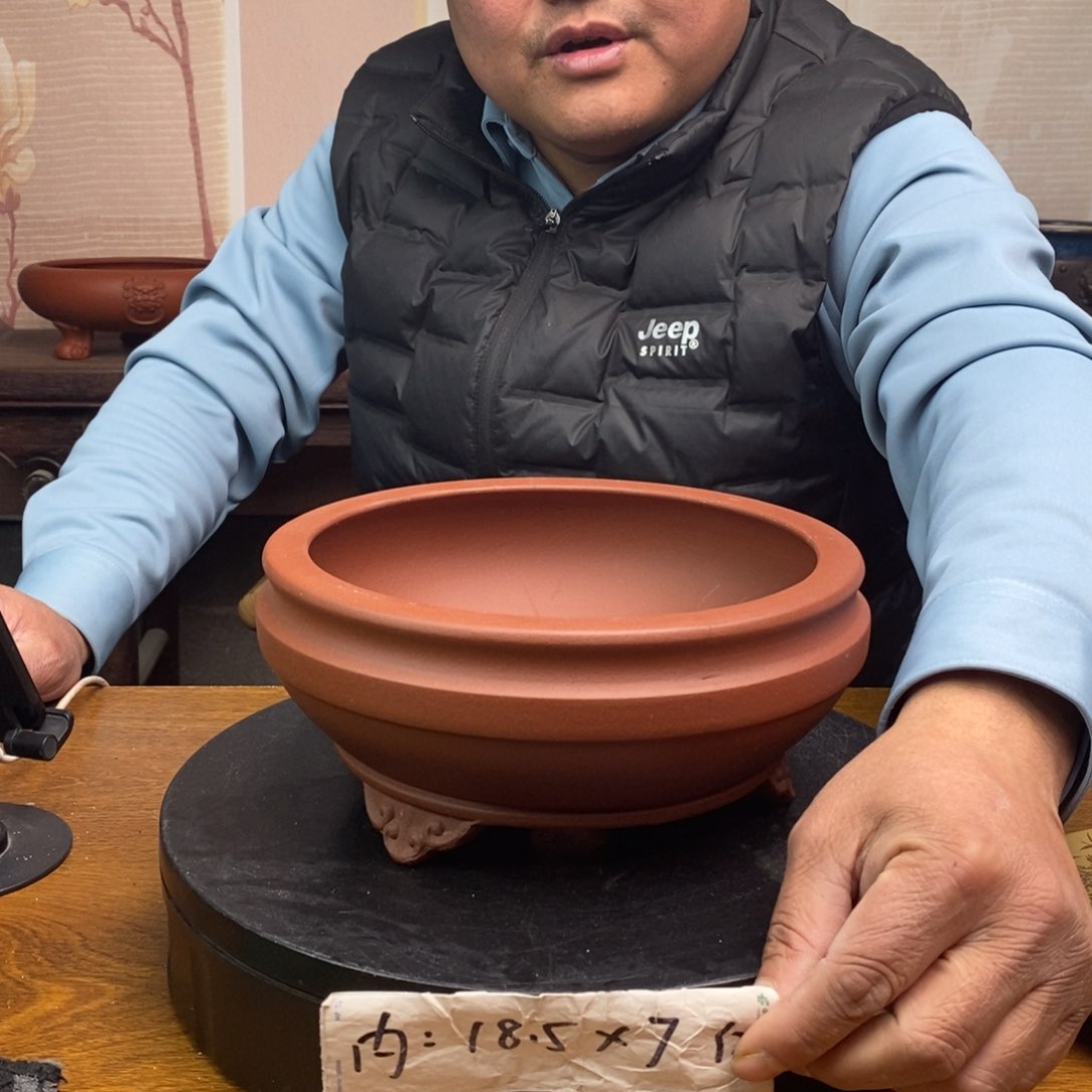 红陶货号一只YJ50