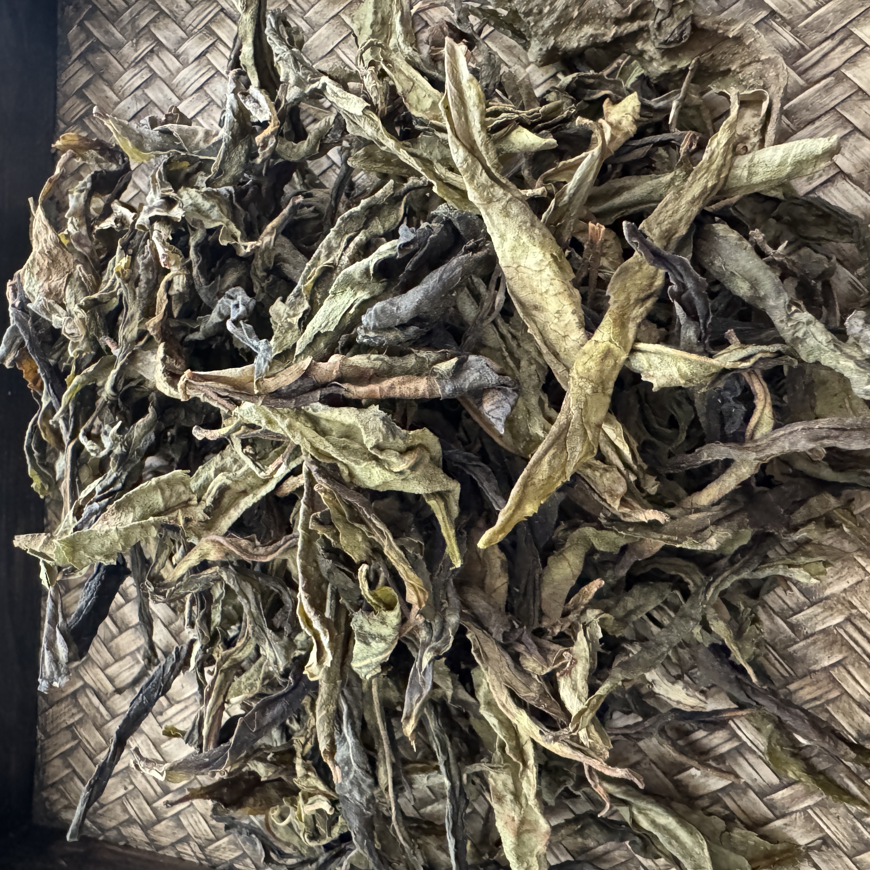 2025年曼糯古树黄金叶散茶