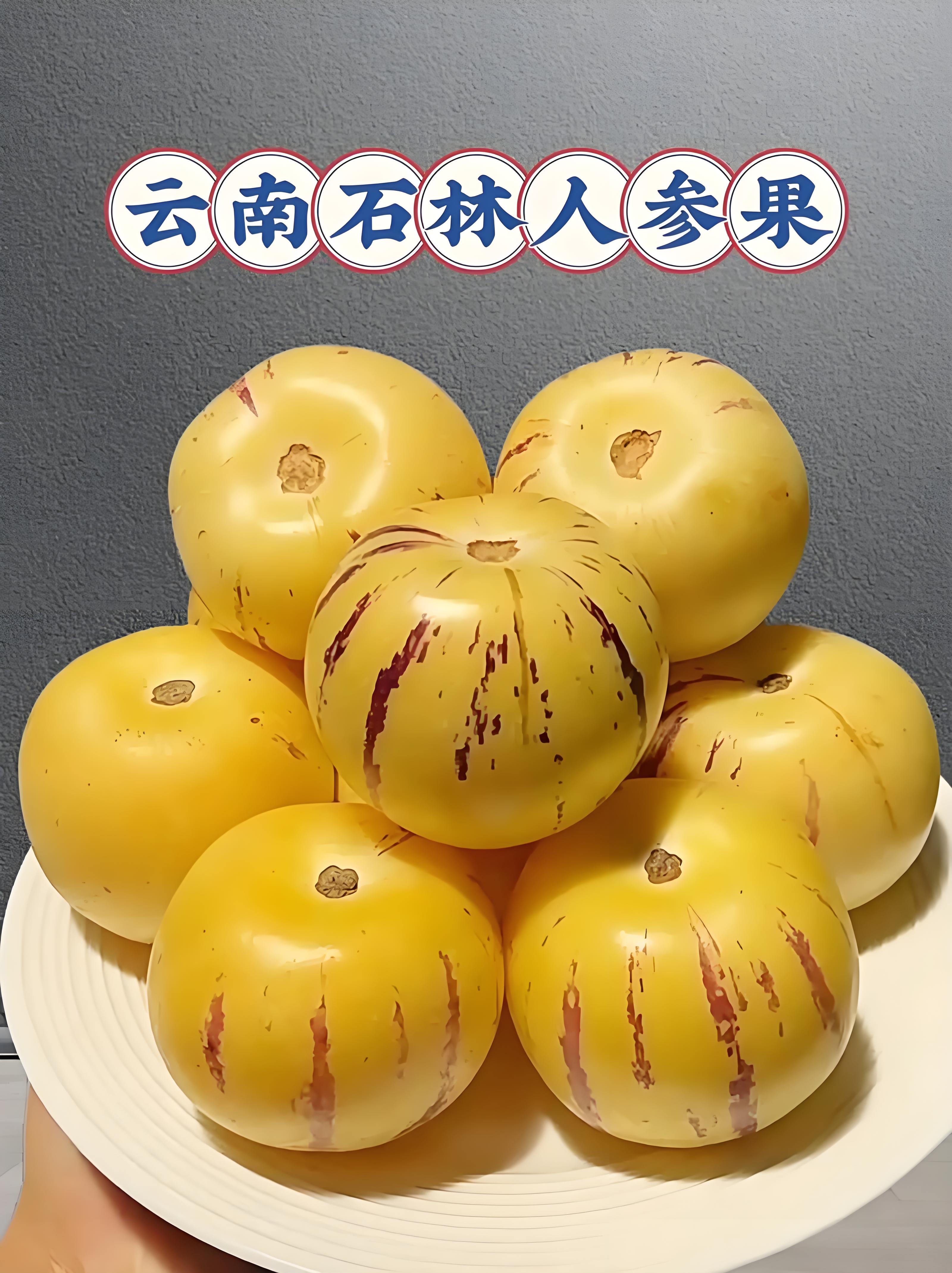 云南石林精品人参果现摘现发树上熟黄肉皮薄清甜爆汁坏了包赔彩箱