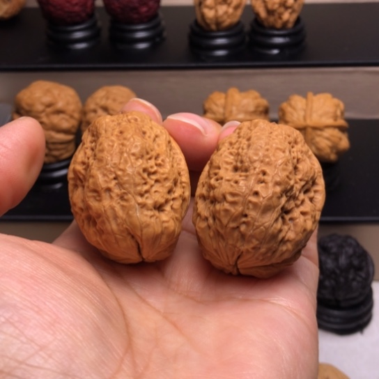 文玩核桃把件盘古龟龙11