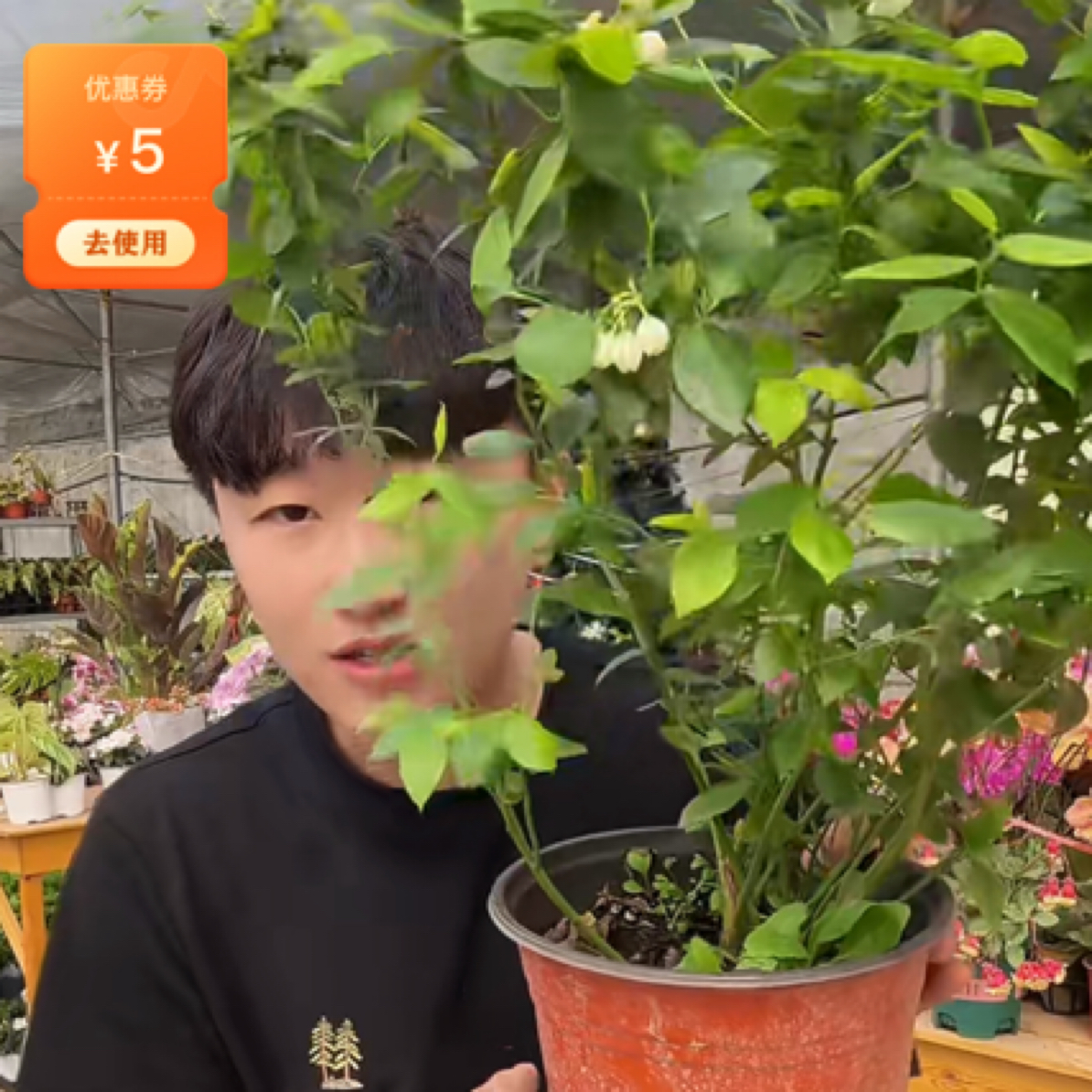 花卉基地现场直接拍链接