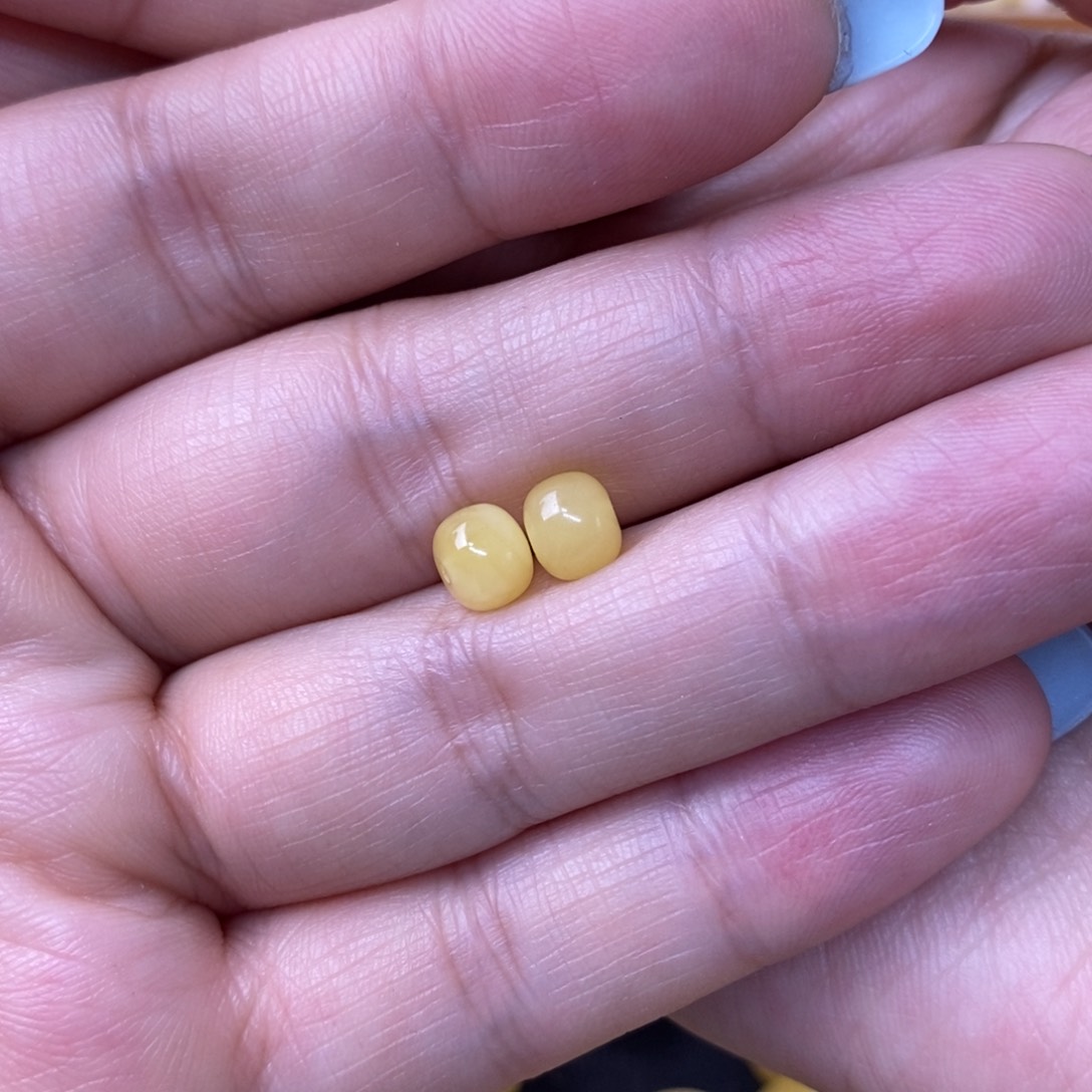 裸石琥珀未镶嵌@*@蜜蜡