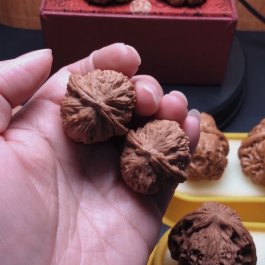 文玩核桃把件白狮子31尺