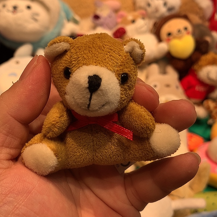 毛绒挂件哈哈哈哈哈哈哈