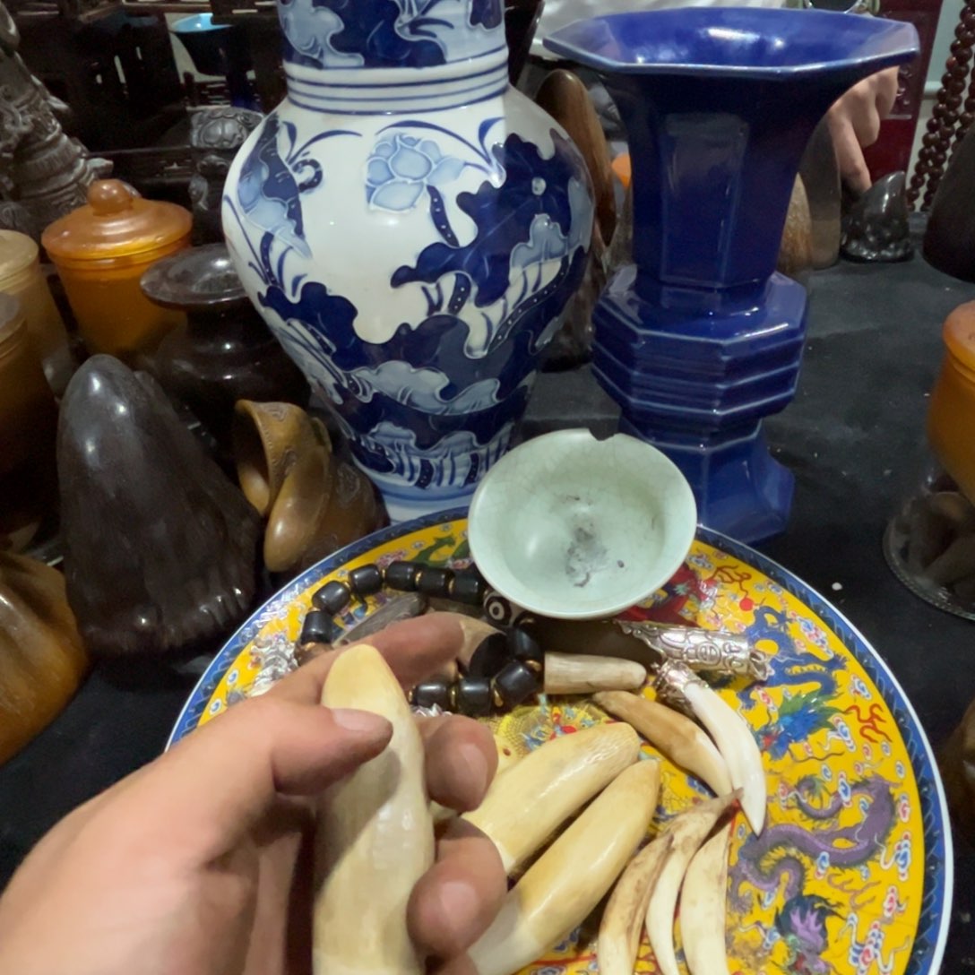 杯我想知道为什么我