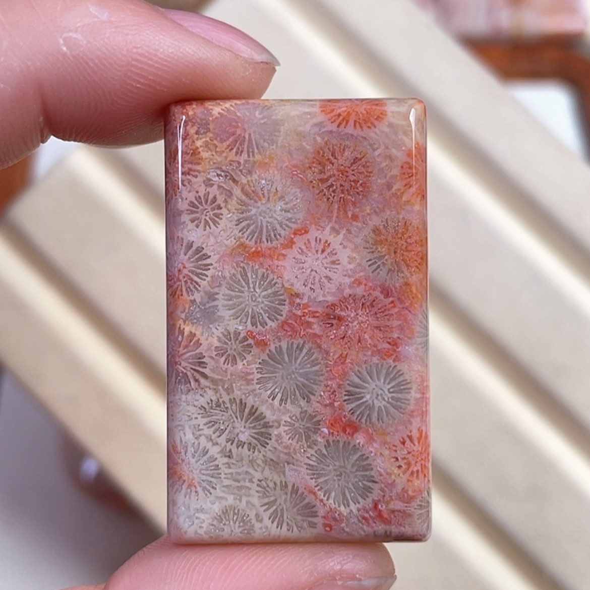 【闪购商品】硅化玉吊坠(赠链)未镶嵌