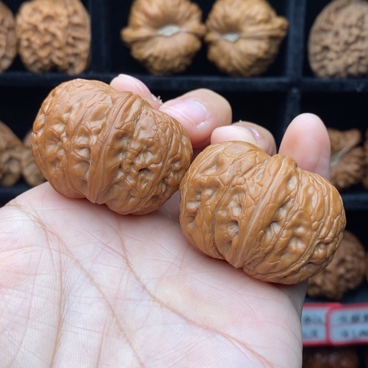 龙脊菩提吊坠元宝40尺全品