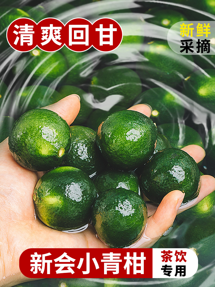 广东江门新会小青柑鲜果茶饮奶茶店专用新鲜手打柠檬茶青皮柑普茶