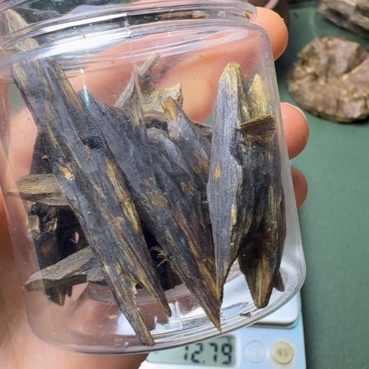 沉香手把件拖****子海南高端陆河树心油老料21克