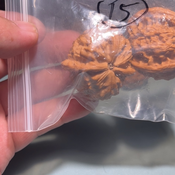 千***春文玩核桃吊坠15呃呃呃呃