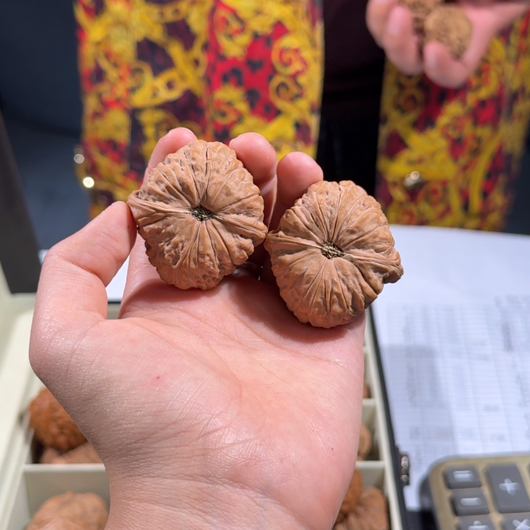 文玩核桃把件246号41mm全品南瓜墩