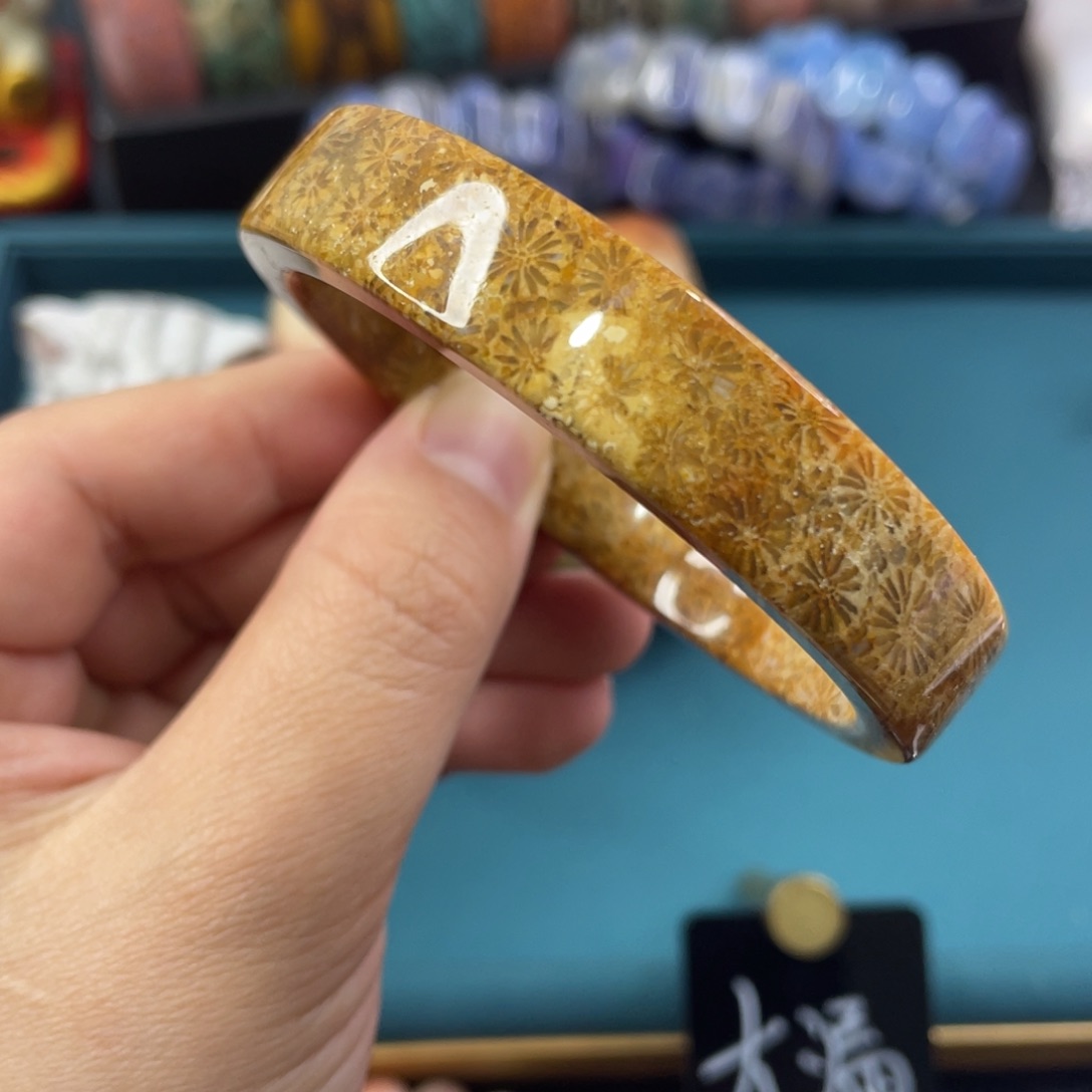 未镶嵌手镯硅化玉