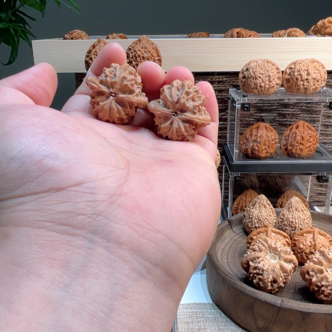 从***来把件文玩核桃35小奶龙