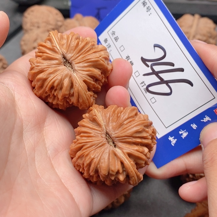 把件桃核40四座楼246号牌