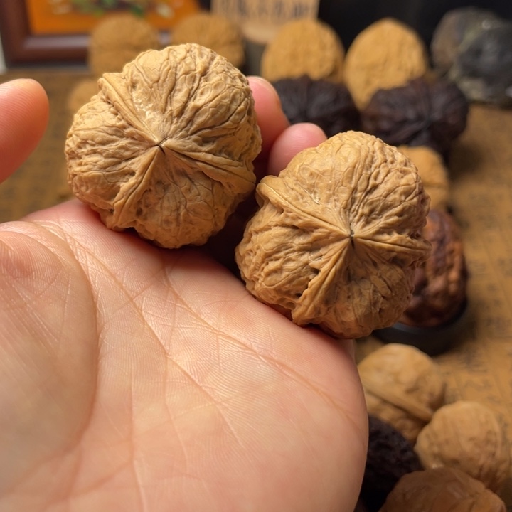 云南铁核桃默认微瑕46