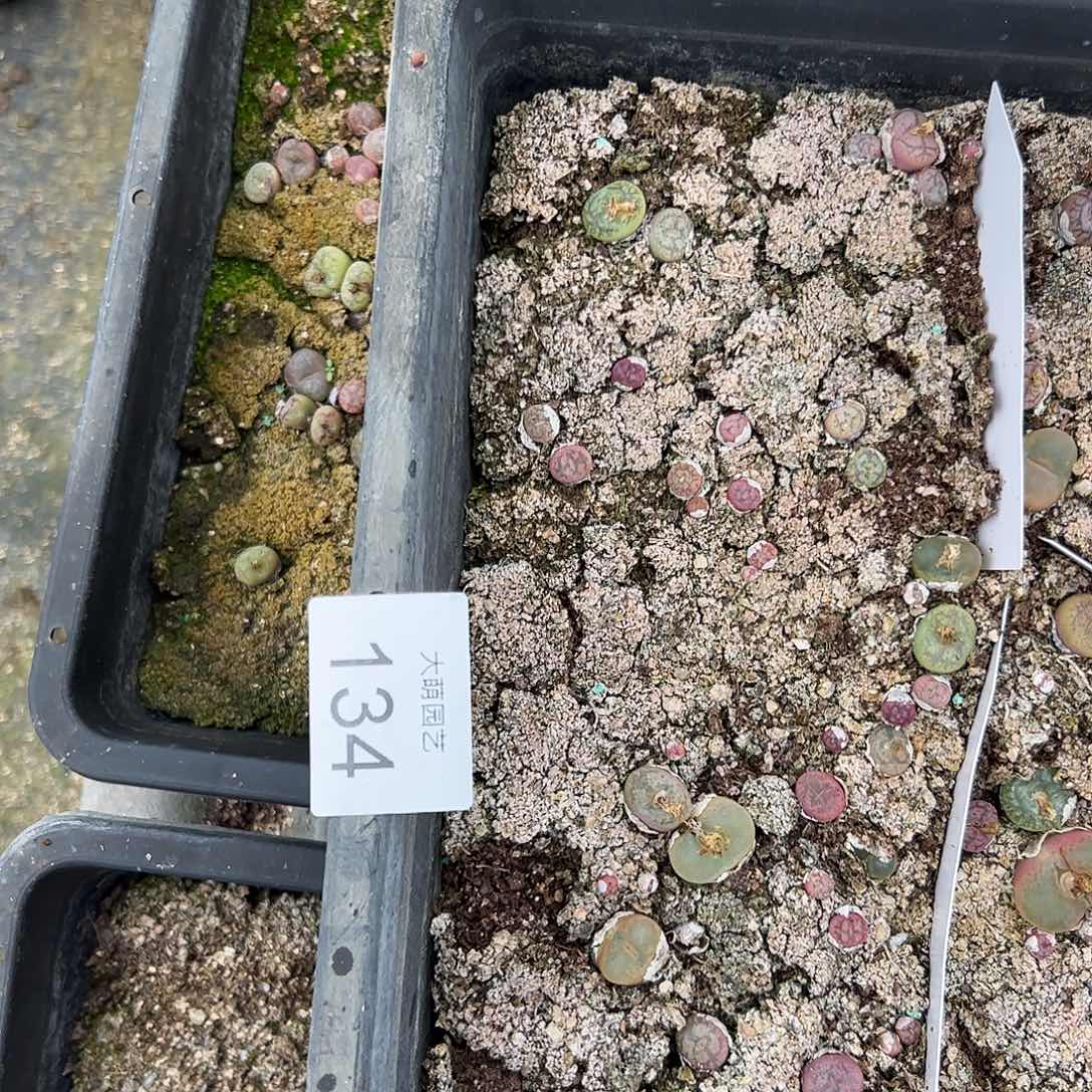 清框脱土发。     134