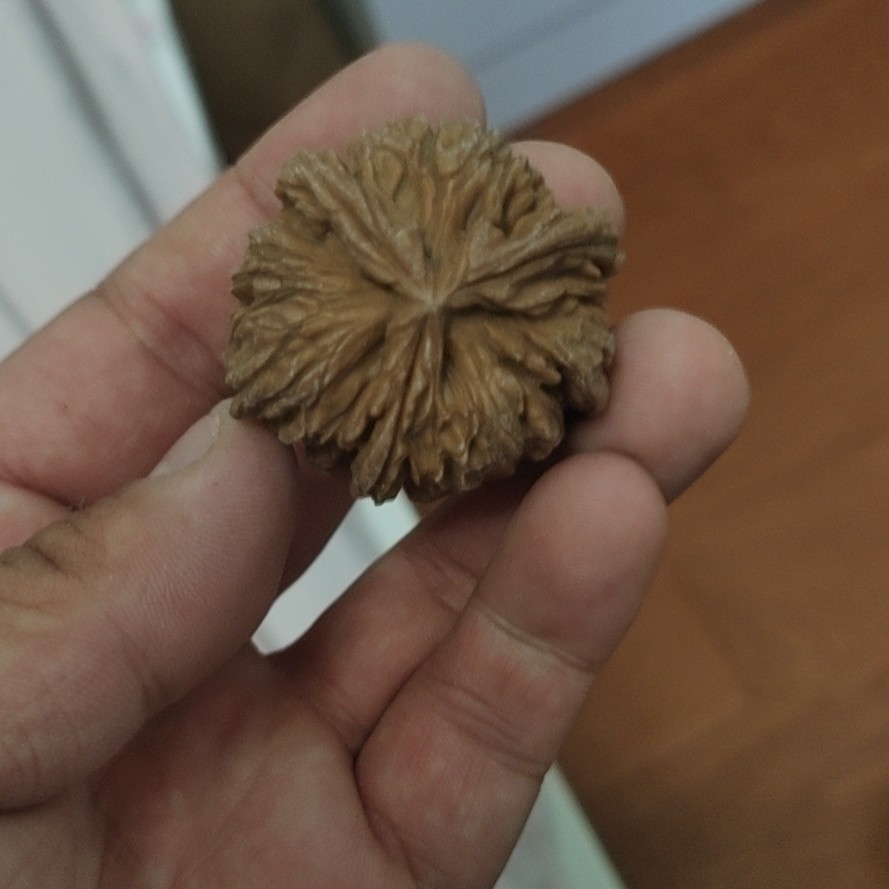 精品盘玩文玩核桃逐鹿南疆石