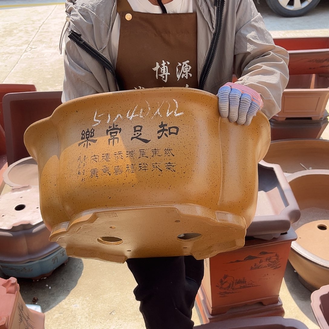 紫砂花盆盆景艺术