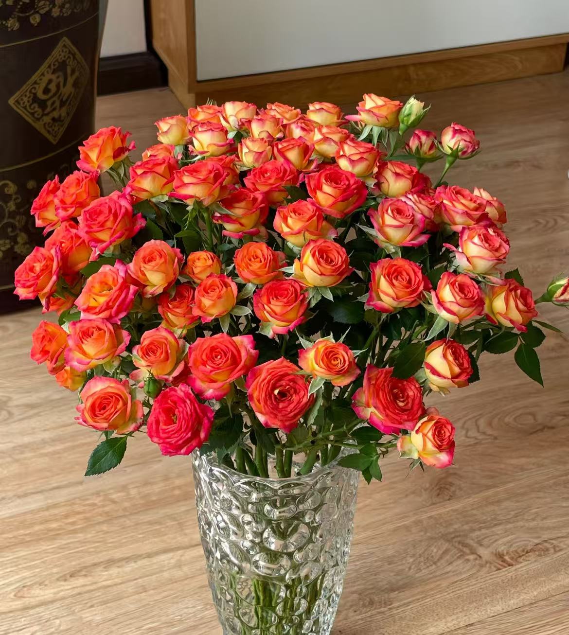 【爱丽丝1扎】多头玫瑰 基地鲜花 云南直发 两单升级冷链发货