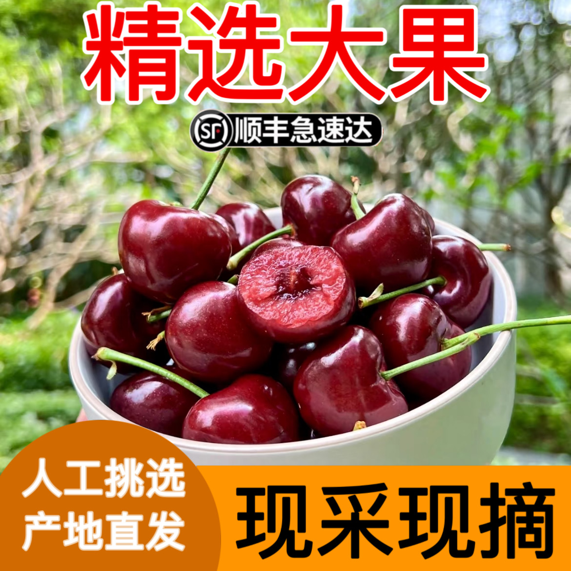 【精选大果】大连美早樱桃2.5斤新鲜水果顺丰空运3-4J 内附果径卡