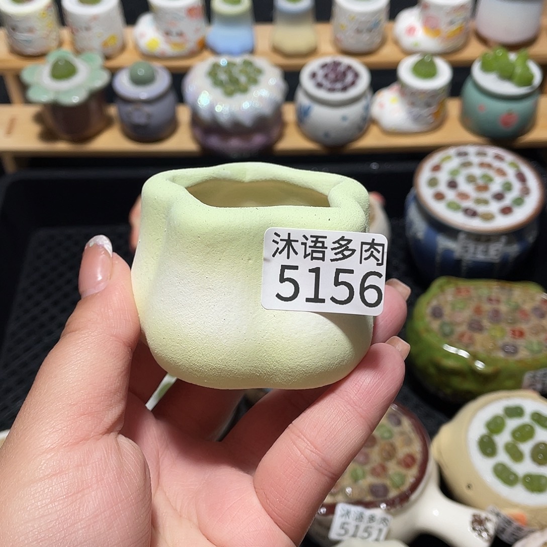 你***吃带盆土植物 一物一拍5156