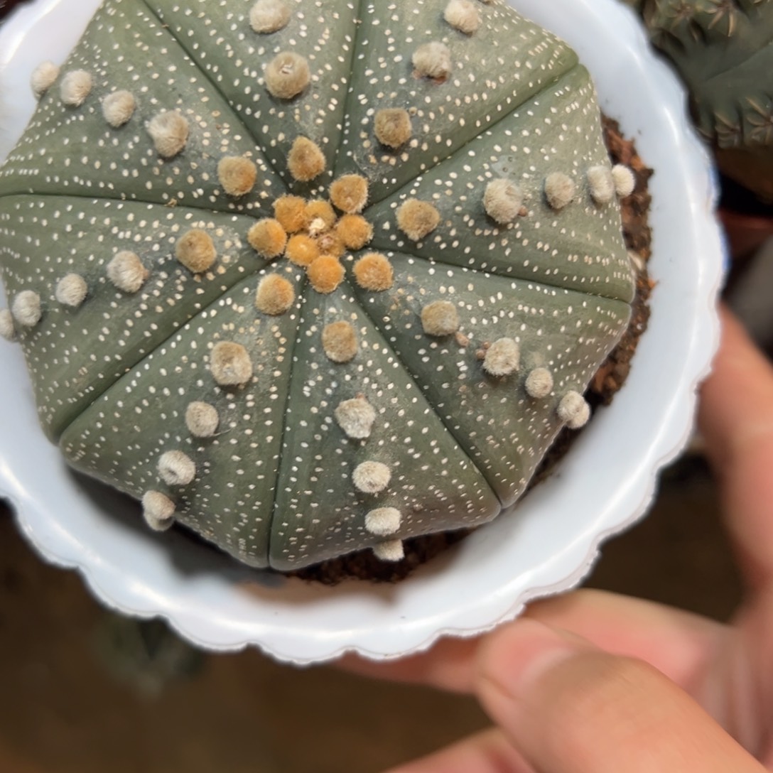 M***r哈哈哈哈哈哈哈哈哈哈哈哈