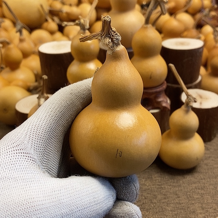 文玩葫芦 完美主义者 慎拍10