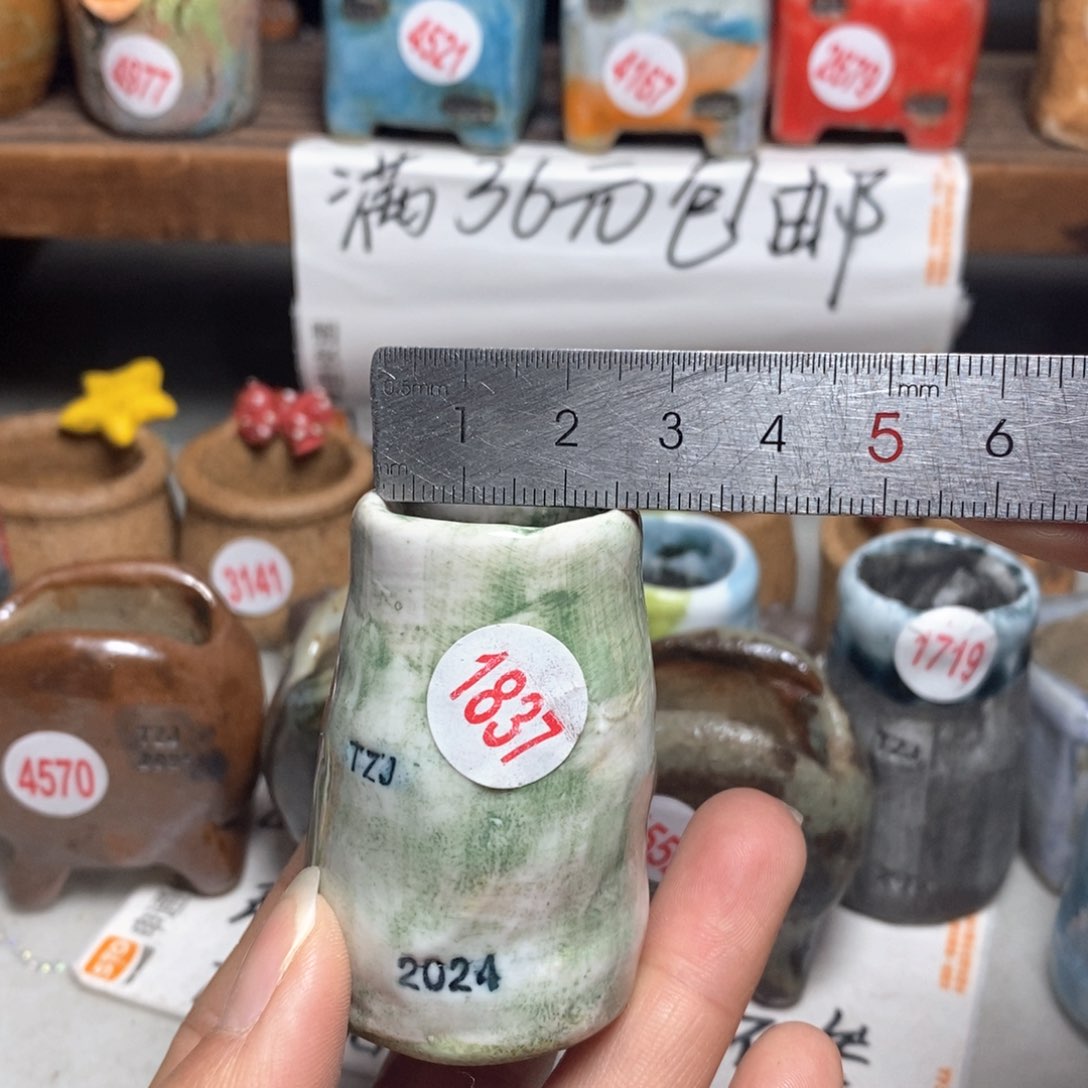 陶瓷拍5送一个小