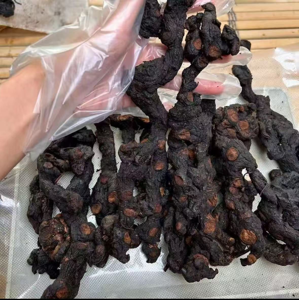 【小闵滋补】九蒸九晒：干净无沙 可搭配熟地