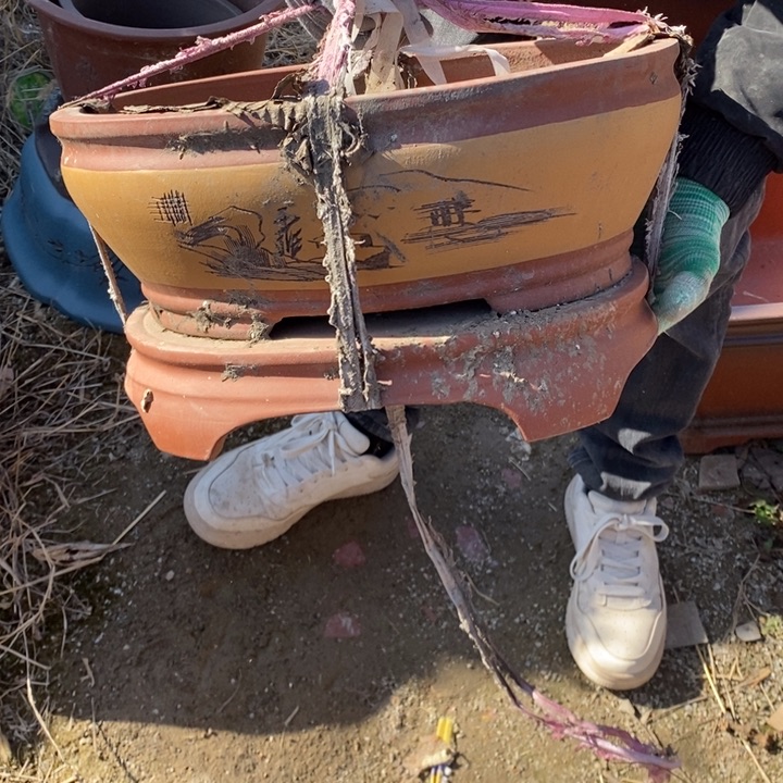 紫砂花盆开工大吉吧，