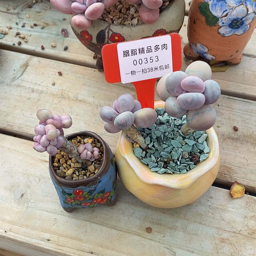 353咯路偷two我女我某
