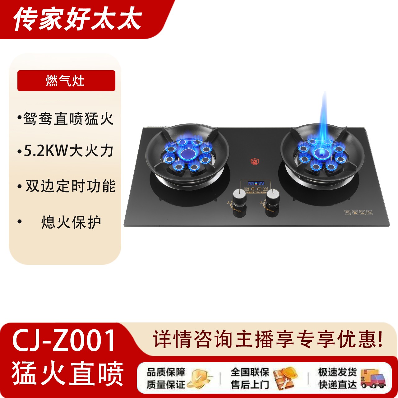 传家好太太全封闭鸳鸯猛火直喷家用双灶燃气灶天然气液化气猛火灶