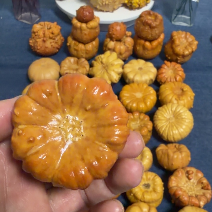 骆****墨西哥七彩疙瘩葫芦瑕疵不退货