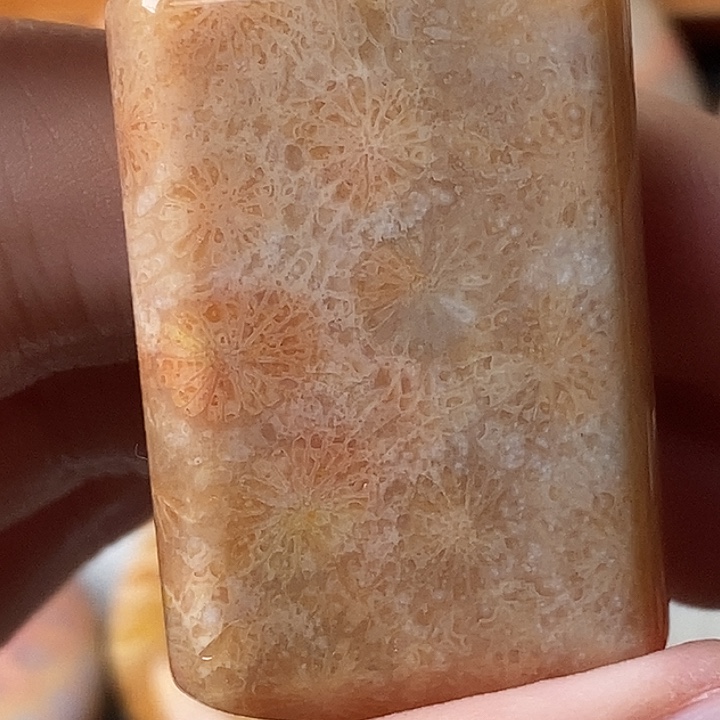 娴***人硅化玉未镶嵌颈饰