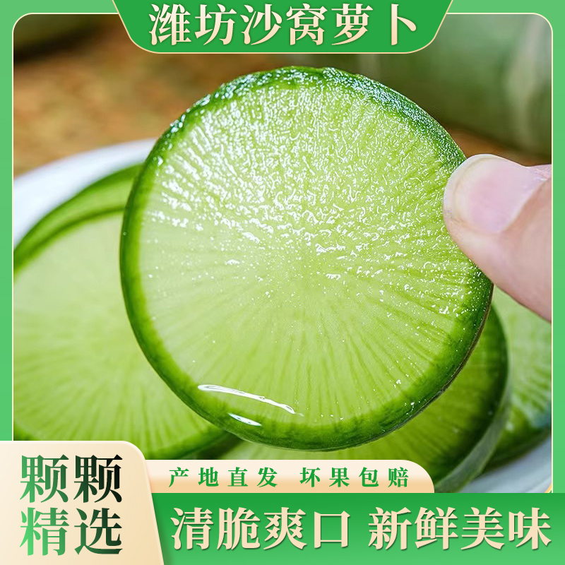 潍坊沙窝萝卜新鲜现挖水果萝卜脆甜爽口可生吃萝卜营养美味3斤起