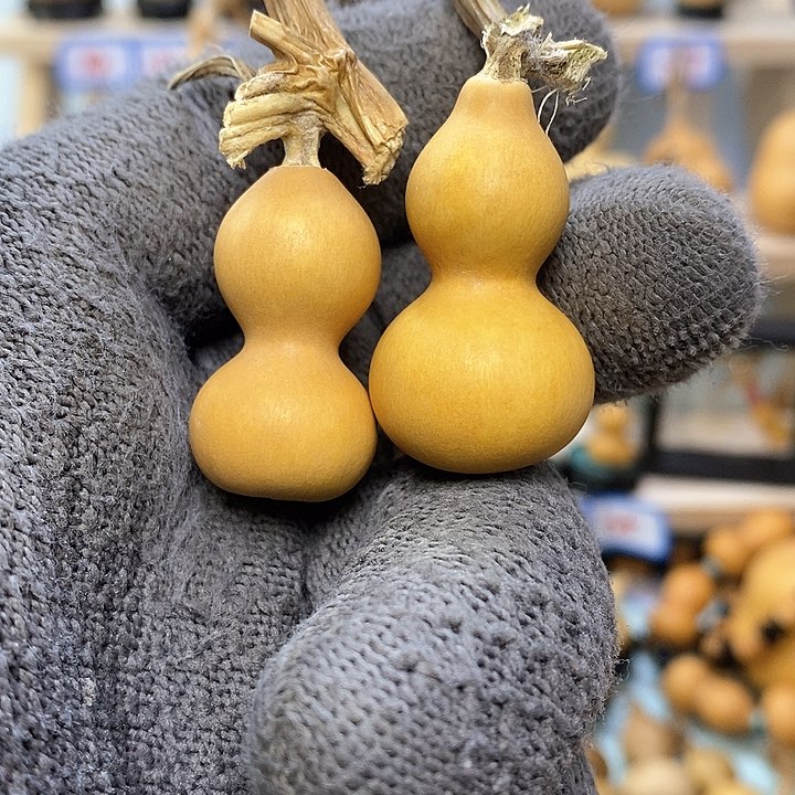 不**面直播间手把小葫芦