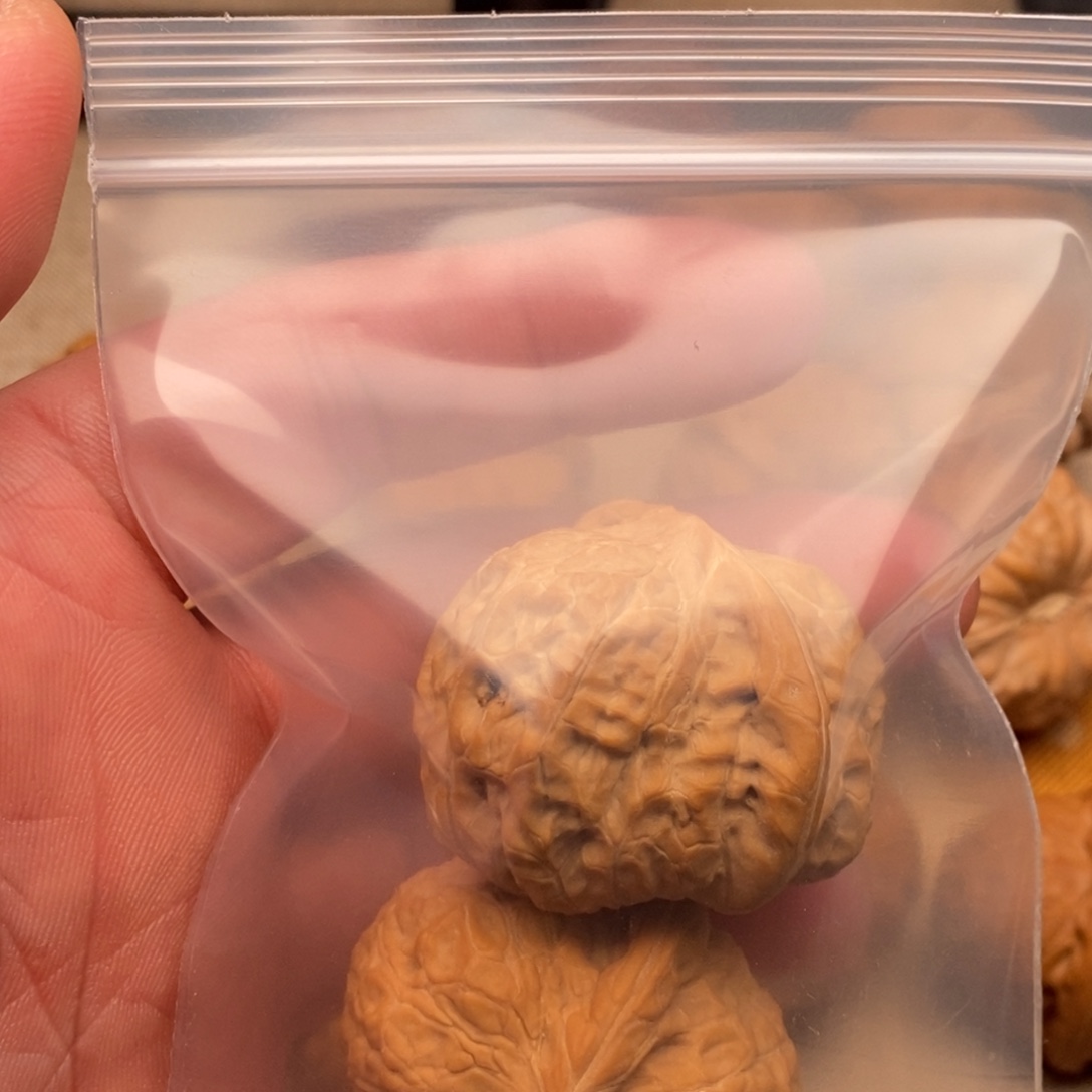 C***k南瓜南瓜南瓜南瓜