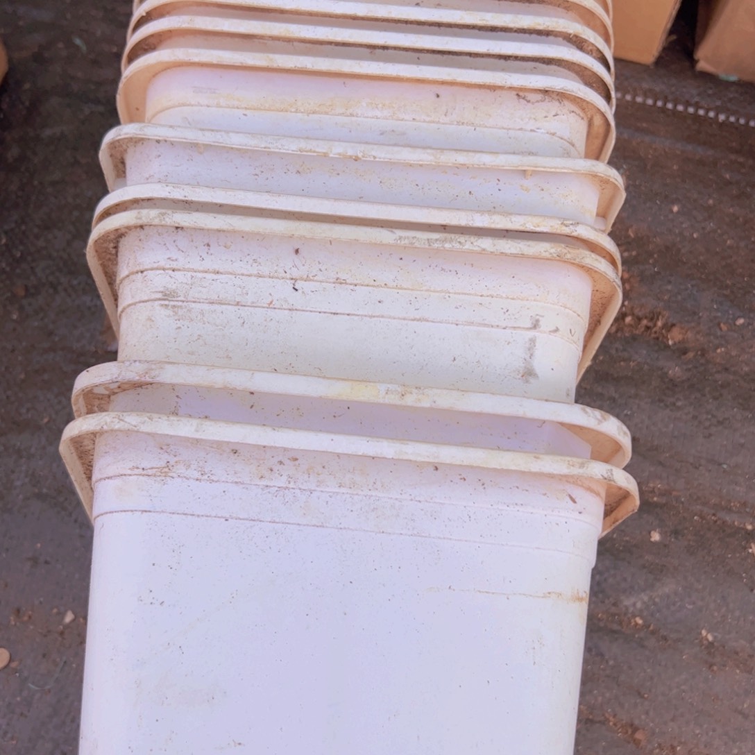 塑料白色方盆180的17.5口径 10个