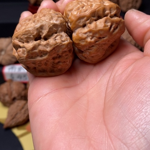 文玩核桃蛤膜头尺40