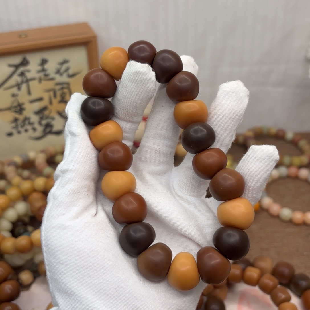 吊坠菩提根/象牙果18干磨瑕疵落地果肠052