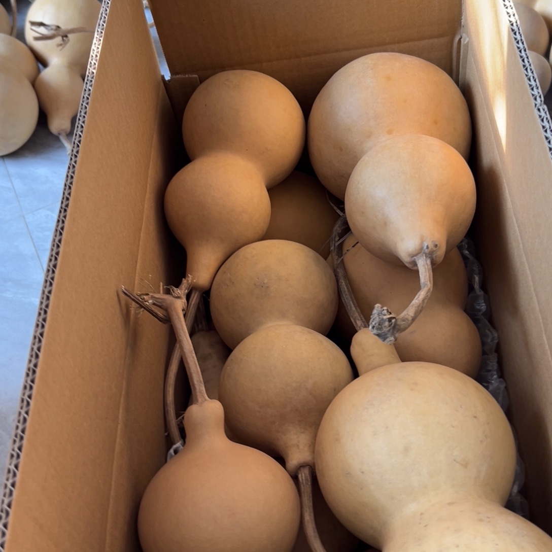 红***鹃有机玻璃葫芦葫芦