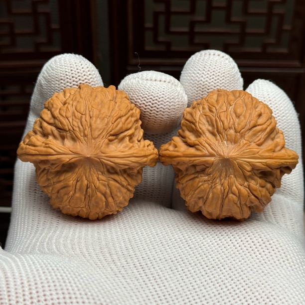 精选磨盘狮子头，边41.5肚40高32，老树粗筋正磨，精卡精配一物一图