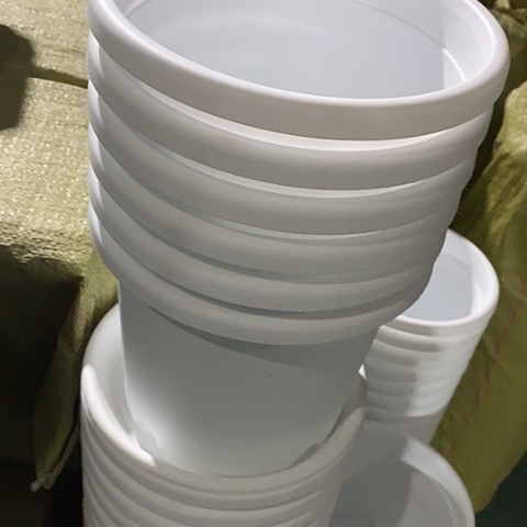 树脂四季3号6个无托白