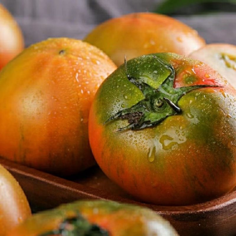 福建草莓柿子铁皮番茄西红柿当季孕妇水果露天种植3-5斤顺丰包邮