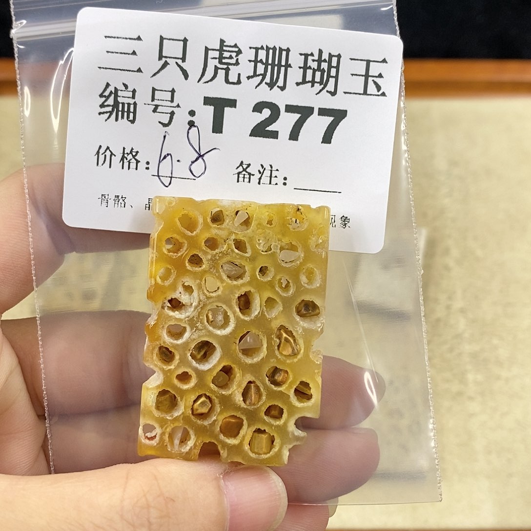 硅化珊瑚（珊瑚玉）1未镶嵌坚****脑