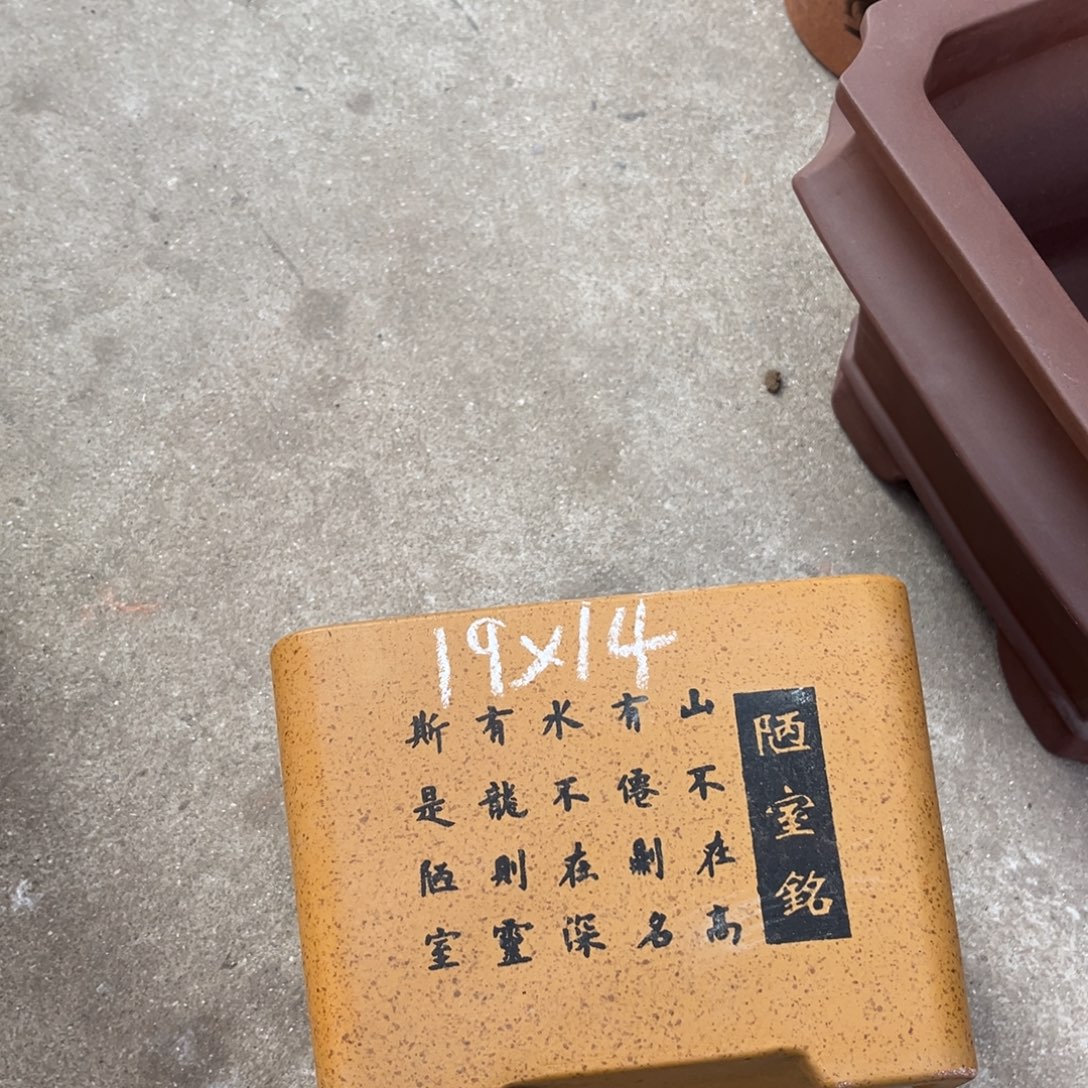 花盆紫砂盆景艺术