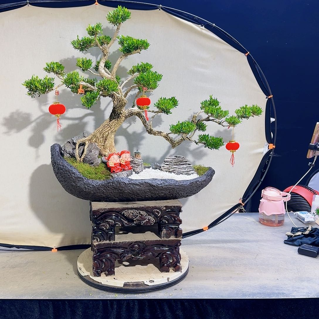 高端黄杨盆景艺术