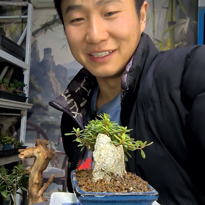 ?****?中青园艺一物一拍花82