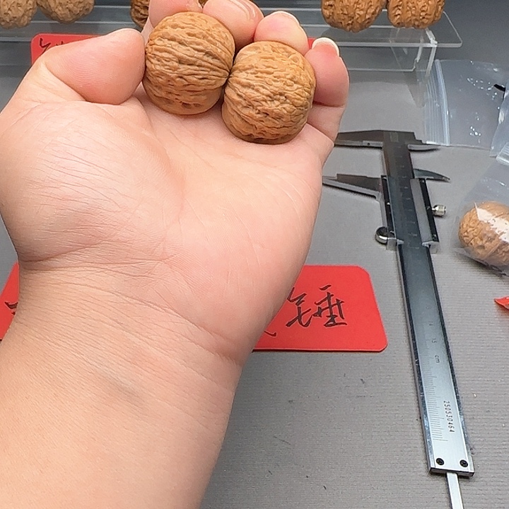 上***镭木质类铁锤妹妹文玩核桃