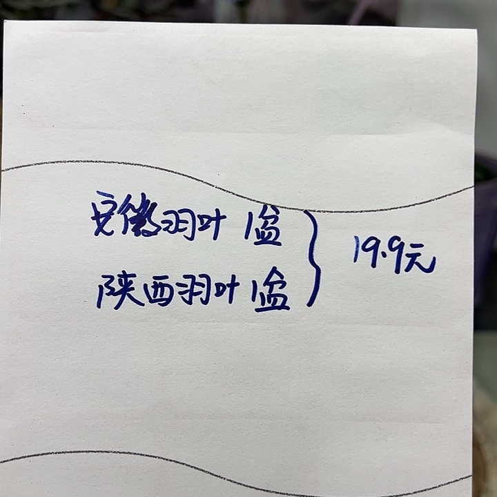 完全开放安徽+陕西各一盆